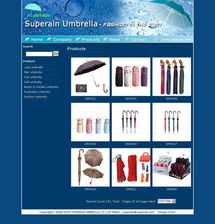 厦门泽迅设计 企业网站建设如何驱动业务增长——一个本地化服务商的实战解析